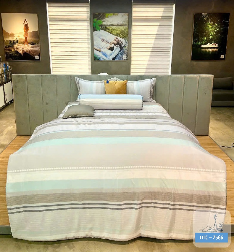 Bộ sưu tập Drap bọc Dream Tencel DTC 2025